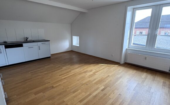 Dachwohnung_autobau_erlebniswelt