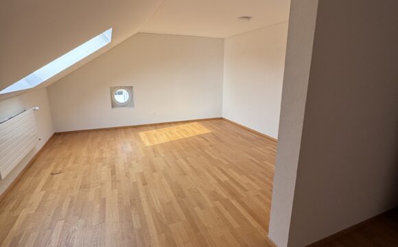 Dachwohnung_autobau_erlebniswelt